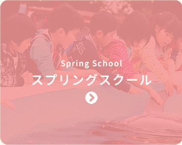 スプリングスクール-Spring School-